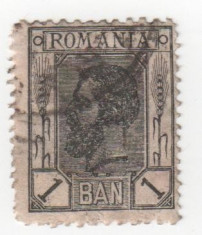 Spic de grau, 1 ban negru inchis, 1908 obliterat (11) foto