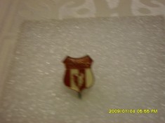 Insigna Zimbrul Suceava foto