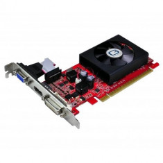 Placa video GAINWARD 1024 MB GDDR3 64 bit PCI-E 16x NVIDIA GeForce 210 VGA DVI HDMI foto