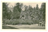 3034 - TIMISOARA, High School Park - old postcard - unused