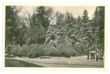 3034 - TIMISOARA, High School Park - old postcard - unused, Necirculata, Printata