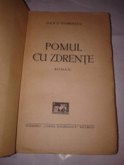 DAN D.DOBRESCU - POMUL CU ZDRENTE Ed.1939 foto