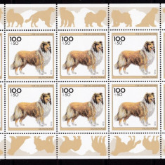 Germania 1996 fauna caini MI 1836-1840 kleib. 10 serii MNH w17