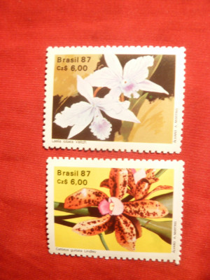 Serie- Flora - Orhidee , 1987 Brazilia , 2 val. foto