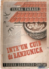 Intr-un Cuib De Randunica - Elena Farago foto