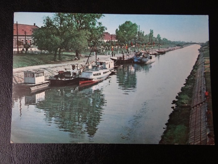 SEPT15 - Vedere/Carte postala - Timisoara