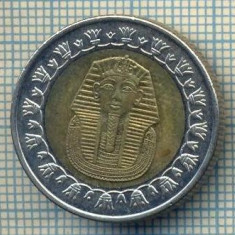 7010 MONEDA - EGYPT - 1 POUND - ANUL 2008 -TUTANKHAMON -starea care se vede