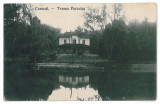 3190 - CARACAL, Olt, Terasa Parcului - old postcard, real PHOTO - used, Circulata, Printata