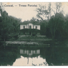 3190 - CARACAL, Olt, Terasa Parcului - old postcard, real PHOTO - used