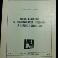 BOLILE ,DAUNATORII SI DERANJAMENTELE FIZIOLOGICE LA LEGUMELE DEPOZITATE - 1971