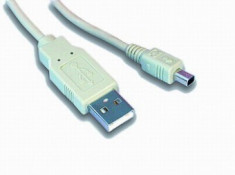 Cablu PC USB 2.0 A M la mini-USB M 1m foto