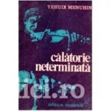 Yehudi Menuhin - Calatorie neterminata