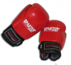 Manusi de box Spartan foto