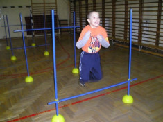 Talpa pentru bara gard de antrenament foto