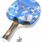 Paleta de ping-pong Butterfly Werner Bronze