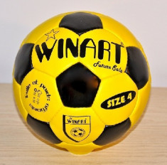 Minge fotbal de sala Winart Future foto