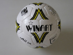 Minge fotbal de sala Winart ALL-IN FIFA foto