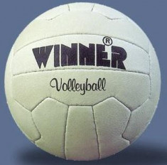 Minge volei Winner Clasic foto