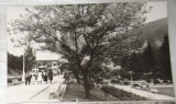 CPI (B6021) CARTE POSTALA - VEDERE DIN SLANIC MOLDOVA, 1965, Circulata, Fotografie