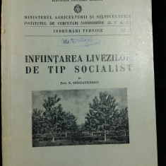 INFIINTAREA LIVEZILOR DE TIP SOCIALIST - PROF. N. CONSTANTINESCU - 1954