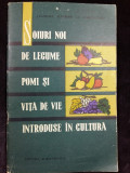 SOIURI NOI DE LEGUME ,POMI SI VITA DE VIE INTRODUSE IN CULTURA - ANUL 1964