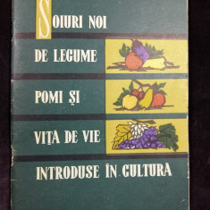 SOIURI NOI DE LEGUME ,POMI SI VITA DE VIE INTRODUSE IN CULTURA - ANUL 1964