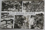 CPI (B6036) CARTE POSTALA - CLUJ - GRADINA BOTANICA, 1967