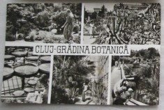 CPI (B6036) CARTE POSTALA - CLUJ - GRADINA BOTANICA, 1967