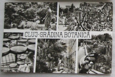 CPI (B6036) CARTE POSTALA - CLUJ - GRADINA BOTANICA, 1967 foto