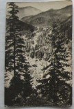 CPI (B6072) CARTE POSTALA - DRUMUL SPRE BORSEC, 1957