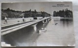 CPI (B6057) CARTE POSTALA - BUCURESTI - VEDERE DIN PARCUL LIBERTATII, RPR, Necirculata, Fotografie