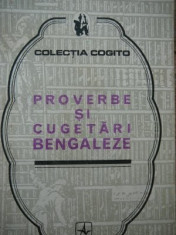 Proverbe si cugetari bengaleze foto