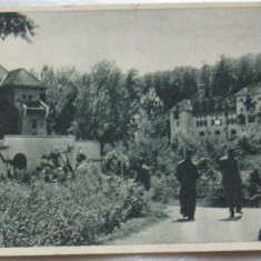 CPI (B6045) CARTE POSTALA - GOVORA - PARCUL, RPR