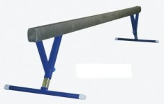 Barna gimnastica foto