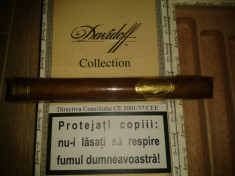 Vand 1 trabuc DAVIDOFF foto