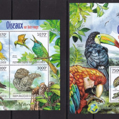 Burundi 2012 fauna pasari MI 2575-78 kleib. + bloc 239 MNH w18