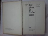SZILAGYI ISTVAN - CAD PIETRE IN FANTANA SEACA, 1984