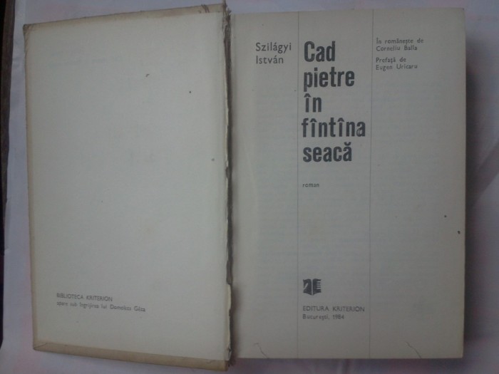 SZILAGYI ISTVAN - CAD PIETRE IN FANTANA SEACA