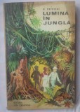 V. PETRITKI - LUMINA IN JUNGLA, 1991