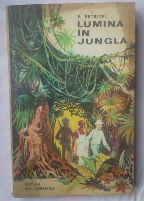 V. PETRITKI - LUMINA IN JUNGLA foto