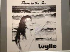 ANNE WYLIE - DOWN TO THE SEA (Irish Music) - (1989/ FMS / RFG) - Vinil foto