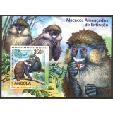 ANGOLA 2011 MAIMUTE, MACACI