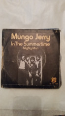 Disc vinil single Mungo Jerry - In the summertime foto
