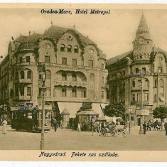 1986 - ORADEA, Metropol Hotel, tramway, carts - old postcard - unused - 1917