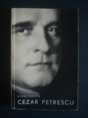 MIHAI GAFITA - CEZAR PETRESCU foto