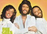 VTAF - ARTISTI - FORMATII MUZICA USOARA - IMAGINE BEE GEES