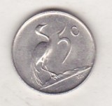 bnk mnd Africa de Sud 5 centi 1971 , pasare