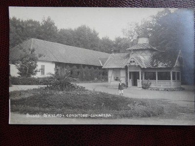 Carte postala veche - Bicsad - Bikszad - Comuna Bixad, Satu Mare foto