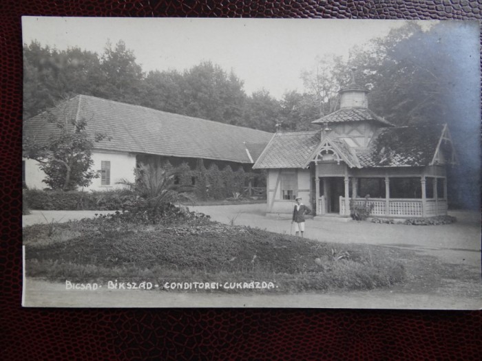 Carte postala veche - Bicsad - Bikszad - Comuna Bixad, Satu Mare