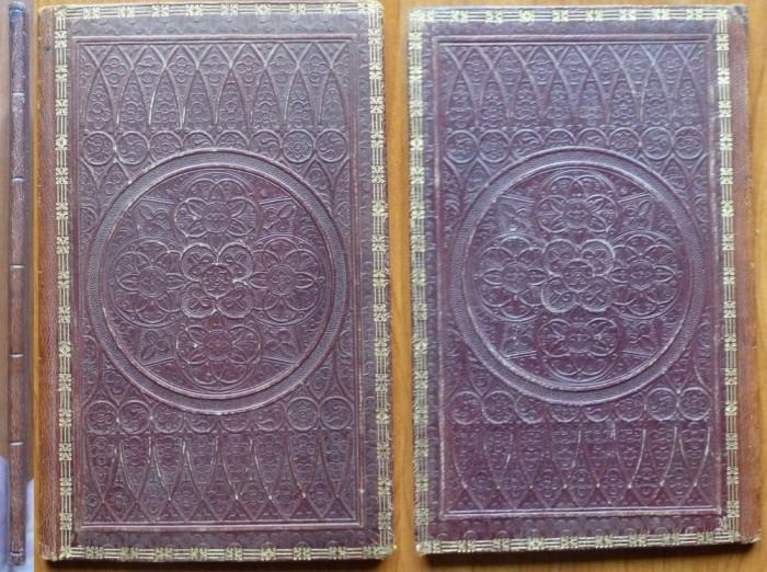 Disertatio inauguralis botanica de Caricibus, 1834, legatura integral piele